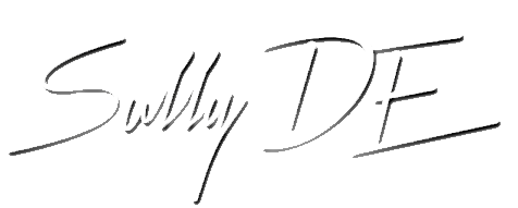 Sully DE - Auteur/Compositeur/Chanteur